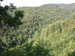 North Carolina Visitor Center/Rest Area