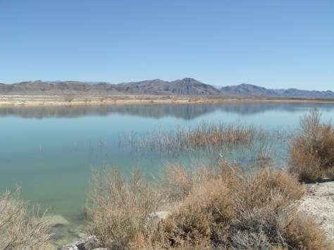 ash meadows lake