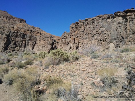 bluffs of mojave